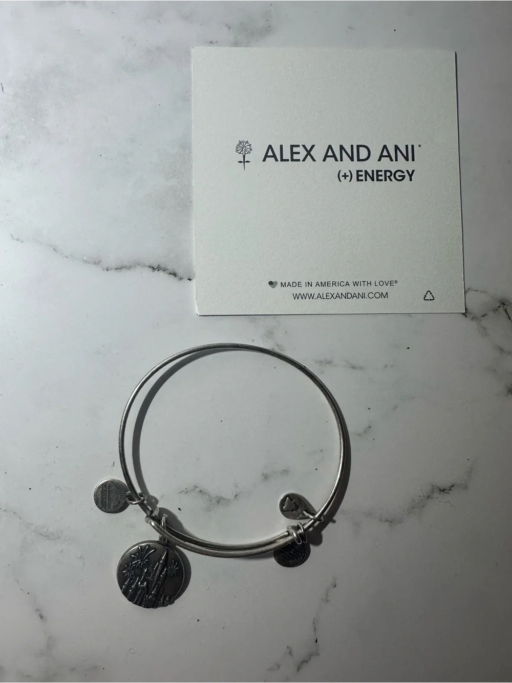 Alex and Ani Silver Tone Disney Castle Charm Bangle Bracelet